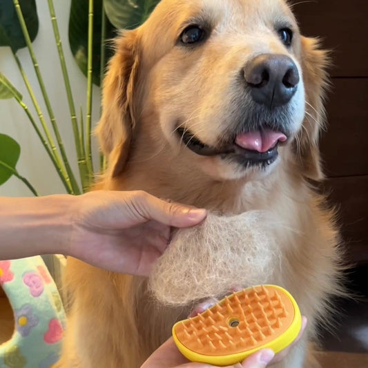 3 dans 1 brosse de vapeur de chien/chat