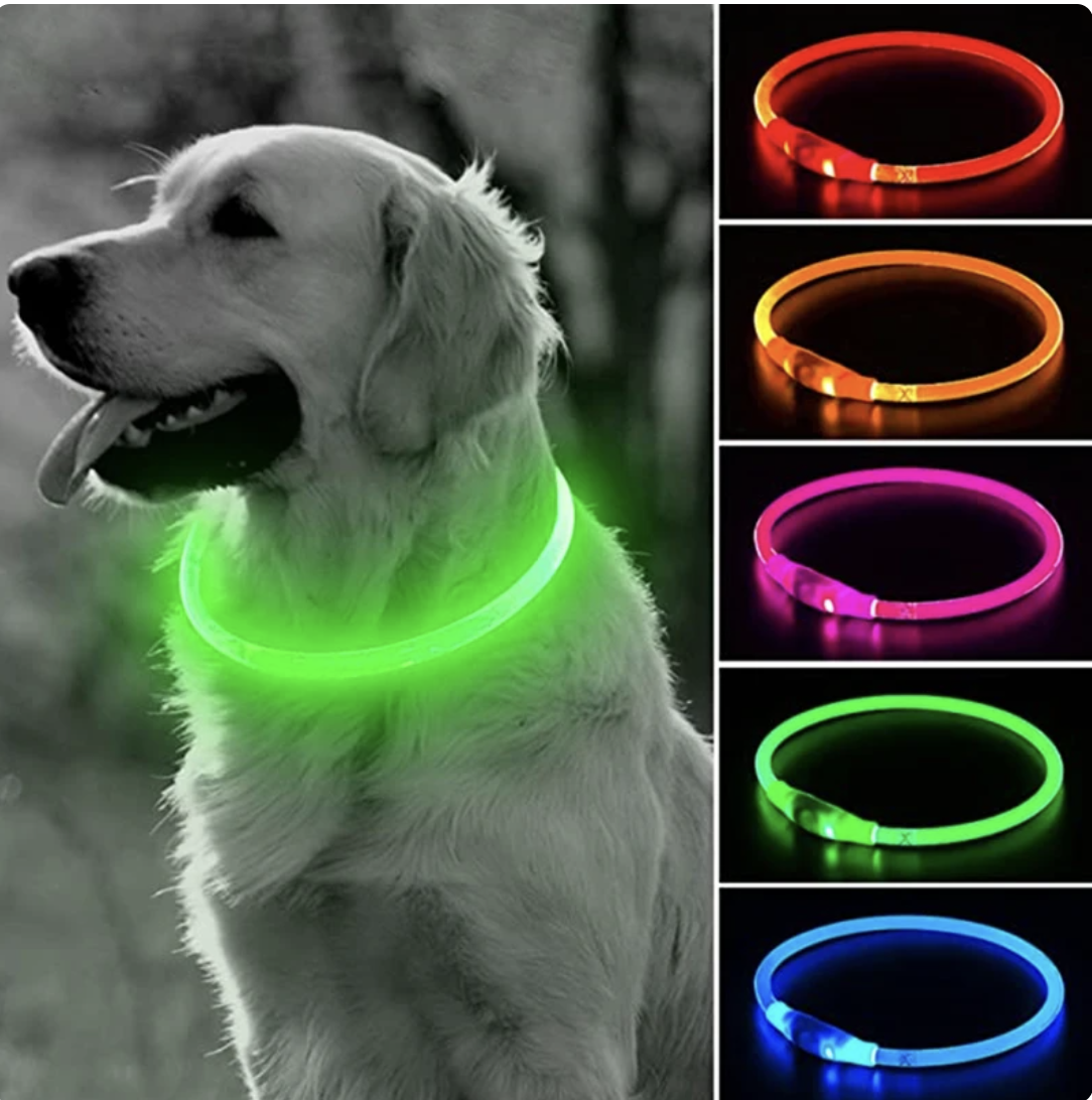 3D -LED -Kragen für Hundefreie Größe