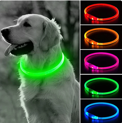 3d LED krave til hundefri størrelse